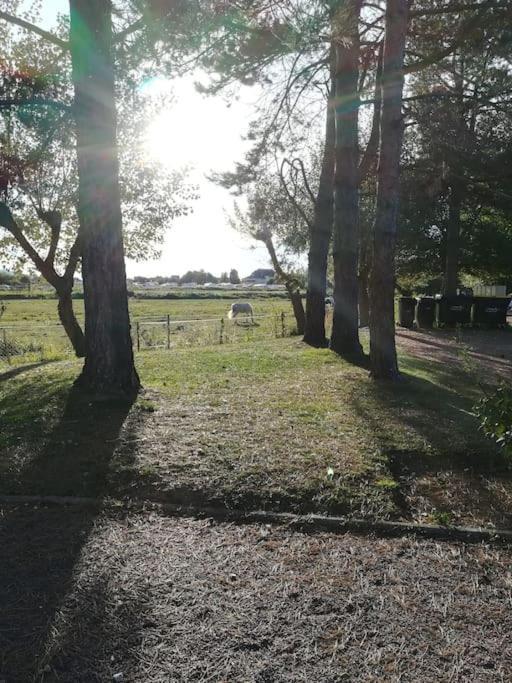 L'Appart De Blonville A 250M De La Plage ภายนอก รูปภาพ